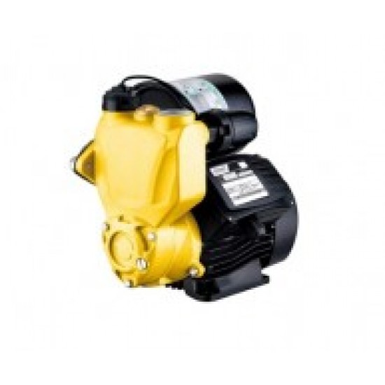 Self Priming Pump