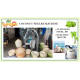 COCONUT PEELING MACHINE