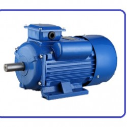 ELECTRIC MOTOR 100HPX1500RPMX415V