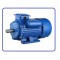 ELECTRIC MOTOR 100HPX1500RPMX415V
