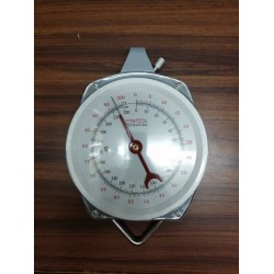 Spring-dial hoist scale