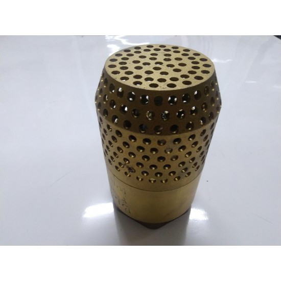 Brass coupling