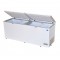 Snow chest Freezer LY750LD