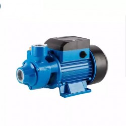 Electric water pump QB60