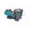 Swimming pool & filter pump