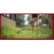  CORDLESS GRASS TRIMMER GRASS CUTTER RECHARGEABLE BATTERY